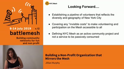 Building a Non-Profit Organization that Mirrors the Mesh