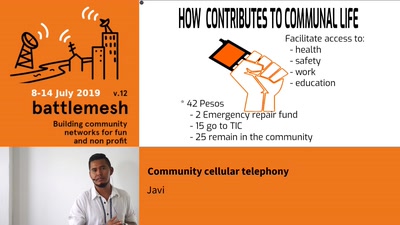 Community cellular telephony